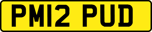 PM12PUD