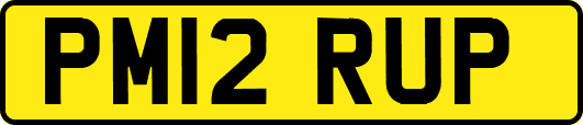 PM12RUP