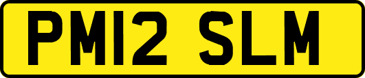 PM12SLM