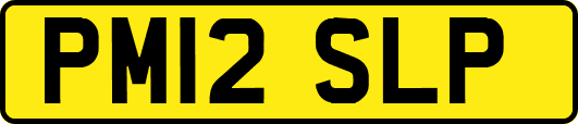 PM12SLP
