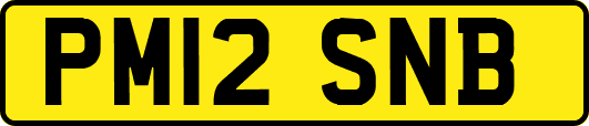 PM12SNB