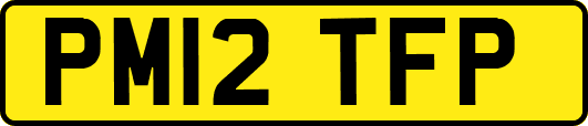 PM12TFP