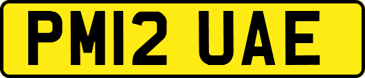 PM12UAE