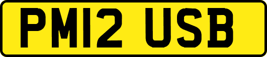 PM12USB