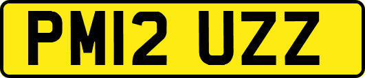 PM12UZZ