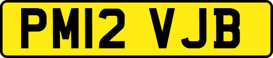 PM12VJB