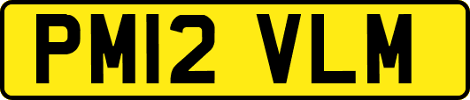 PM12VLM