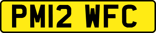 PM12WFC