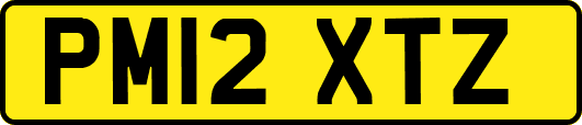 PM12XTZ