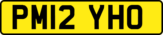PM12YHO