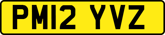 PM12YVZ