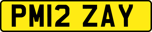 PM12ZAY