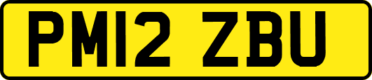 PM12ZBU