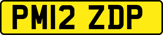 PM12ZDP