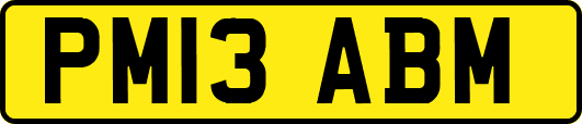 PM13ABM