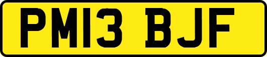 PM13BJF