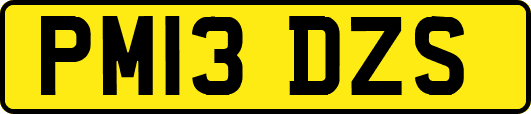 PM13DZS