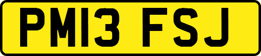PM13FSJ