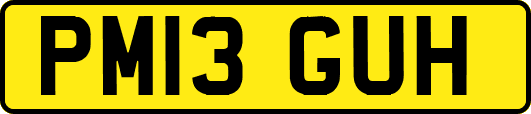 PM13GUH