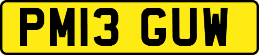 PM13GUW
