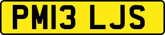 PM13LJS