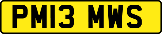 PM13MWS