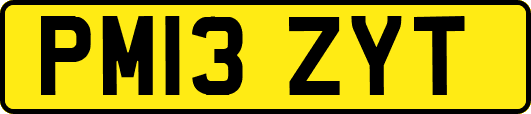 PM13ZYT