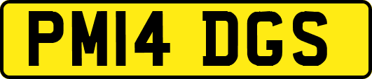 PM14DGS