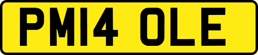 PM14OLE