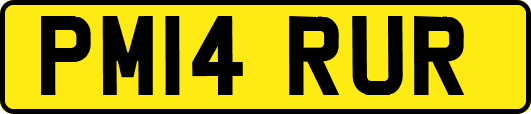 PM14RUR