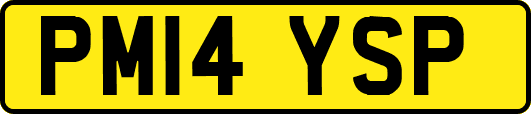 PM14YSP