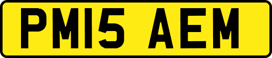 PM15AEM