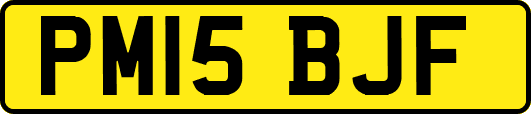 PM15BJF