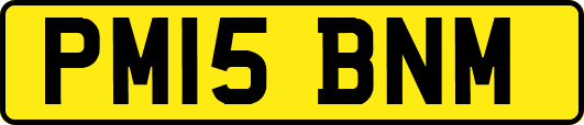 PM15BNM