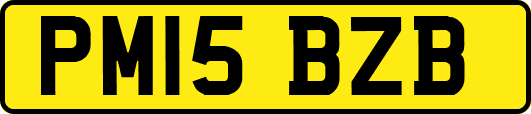 PM15BZB