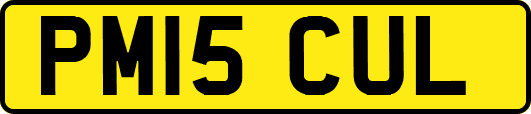 PM15CUL
