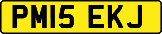 PM15EKJ