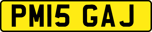 PM15GAJ