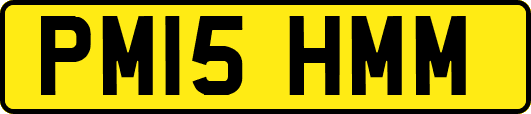PM15HMM