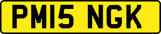 PM15NGK