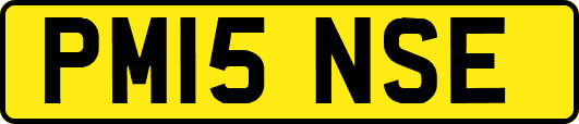 PM15NSE