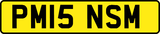 PM15NSM