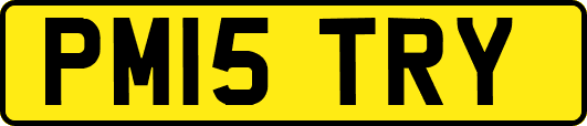 PM15TRY