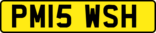 PM15WSH