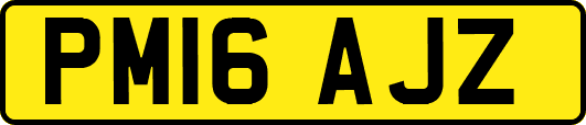 PM16AJZ
