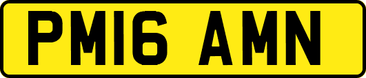 PM16AMN