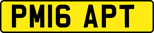 PM16APT