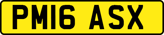 PM16ASX