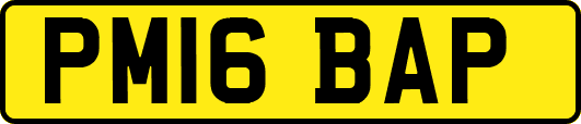 PM16BAP