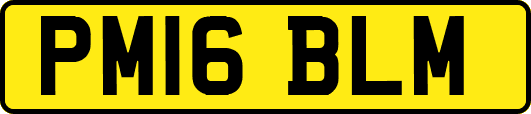 PM16BLM